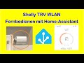 Shelly TRV (WLAN) mit Home Assistant fernbedienen ohne HACS + YAML - Video 02