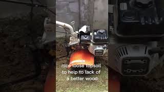 How to plant Savannah grass, the CORRECT way screenshot 3