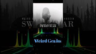 Weird Genius - Sweet Scar | Spectrolizer