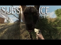 Subsistence - Rogue Hunter Update, Surviving+ Starting Back From Scratch - Gameplay Highlights Ep 1