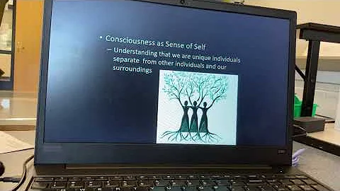 Study of Consciousness