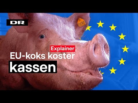 Video: Hvem er ejeren af solskoldning?