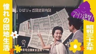 団地への招待 (1960)【高画質・公式完全版】