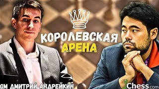 : ,        25.12.2024    dicechess.com 