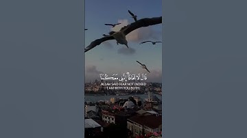 بداية قناة نور القرآن 🌙 | تلاوة هادئة تريح القلب #نور_القرآن#تلاوة#قرآن#Quran#تلاوة_هادئة#