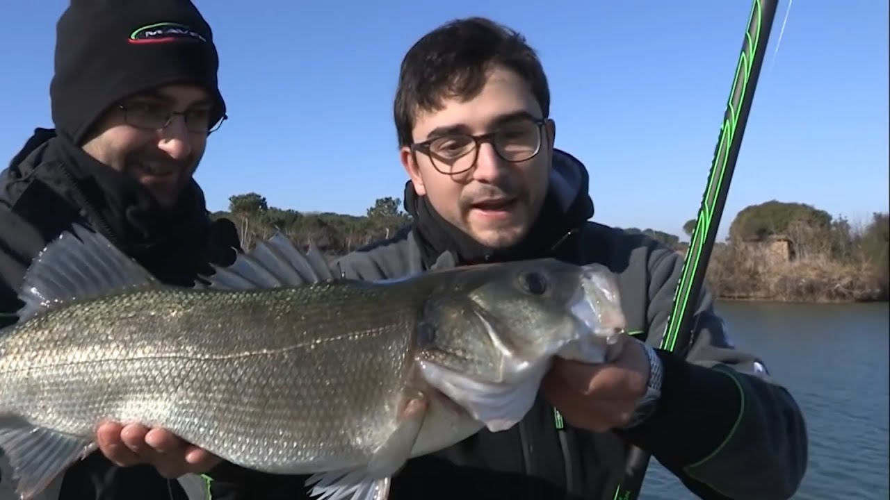ABC della pesca delle SPIGOLE con la tecnica della BOLOGNESE
