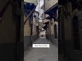 حارات دمشق القديمة 