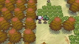 How To Catch Mew Pokemon Oras Legit Way Finally
