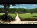 【作業用BGM】癒しと悲しみのピアノ曲集　寝る前に聴く曲 1/2