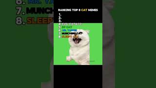 Ranking Top 8 Cat Memes | #catmemes #capcut #edit #viral #trending