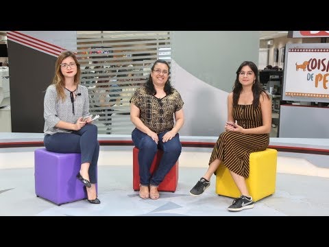 pernambuco map Tire suas dúvidas sobre a esporotricose