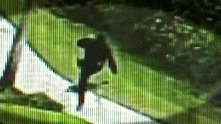 LiveLeak - Man Kicks Rabid Coyote After Confrontation Outside Resort
Video shot at the Emerald Island Resort on Saturday showed the animal, who would later test positive for rabies, coming out of a nearby forest area and growling at the man as he walked down the sidewalk.
▷ Subscribe to LiveLeak Channel for more videos: http://bit.ly/sub2liveleak
► Donate to Us: https://liveleakchannel.com/donate
Your generous support helps us continue our work! LiveLeak - Man Kicks Rabid Coyote After Confrontation Outside Resort