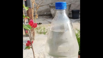 रोज रोज नही देना होगा पानी  | Water irrigation system |  Dripping system for pot  |