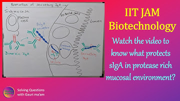 IIT JAM Biotechnology | Solved PYQ | Solving Questions with Gauri ma’am