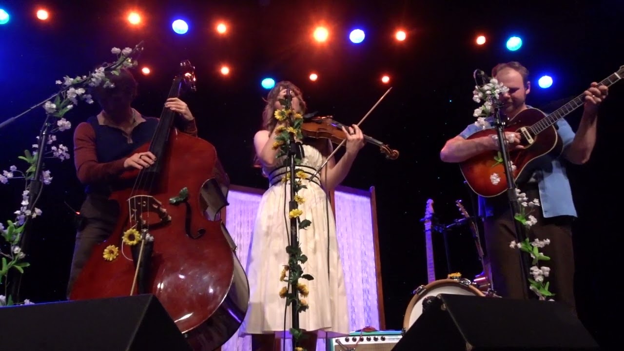 The Wildwoods, Seattle, WA, 2025