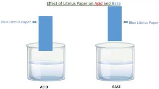 Blue and Red Litmus Test on Acid and Base (अम्ल र क्षारमा Litmus Test Nepali Version)