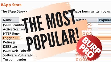 Most Popular BurpSuite Pro extensions