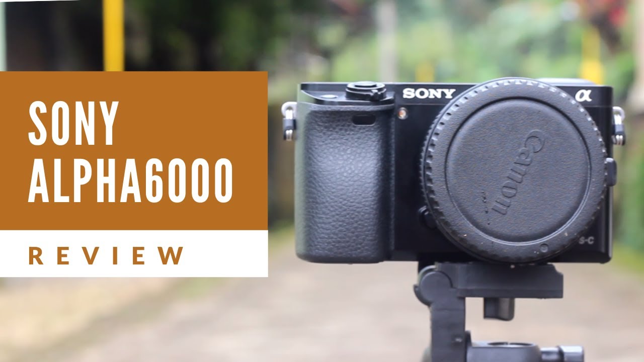 Review Sony A6000 Bahasa Indonesia | CANON PINDAH SONY!!! 