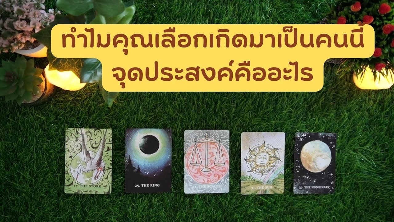 🟣Pick a card ทำไมคุณเลือกเกิดมาเป็นคนนี้ จุดประสงค์คืออะไร