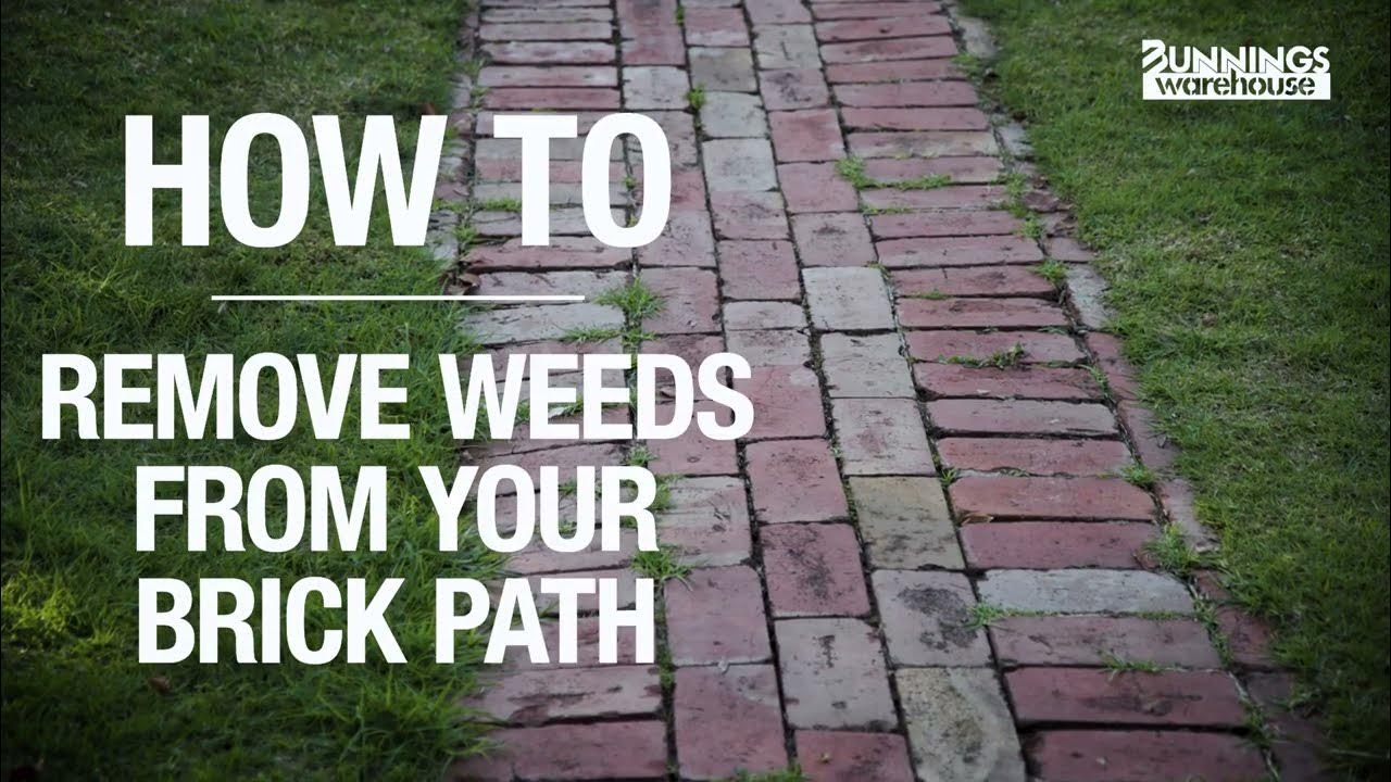 How to Remove Weeds from Brick Pavers Bunnings Warehouse YouTube