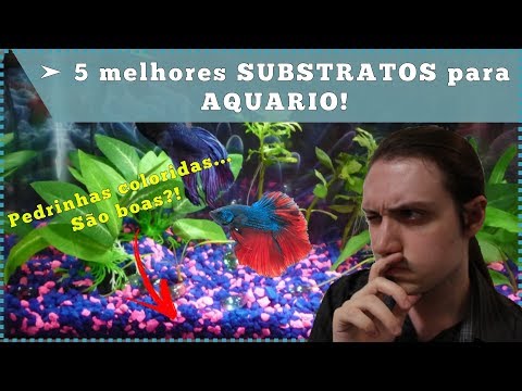 Vídeo: Como Escolher Um Substrato Para Um Aquário