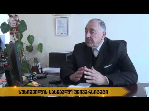 სუხიშვილის სასწავლო უნივერსიტეტი