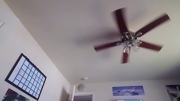 I can fly (click bait)