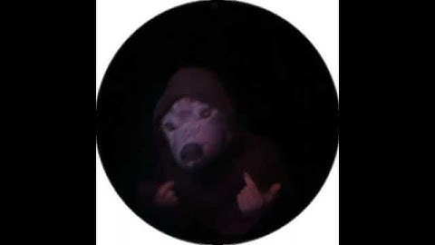 Scally Milano — New snippet 11.12.23