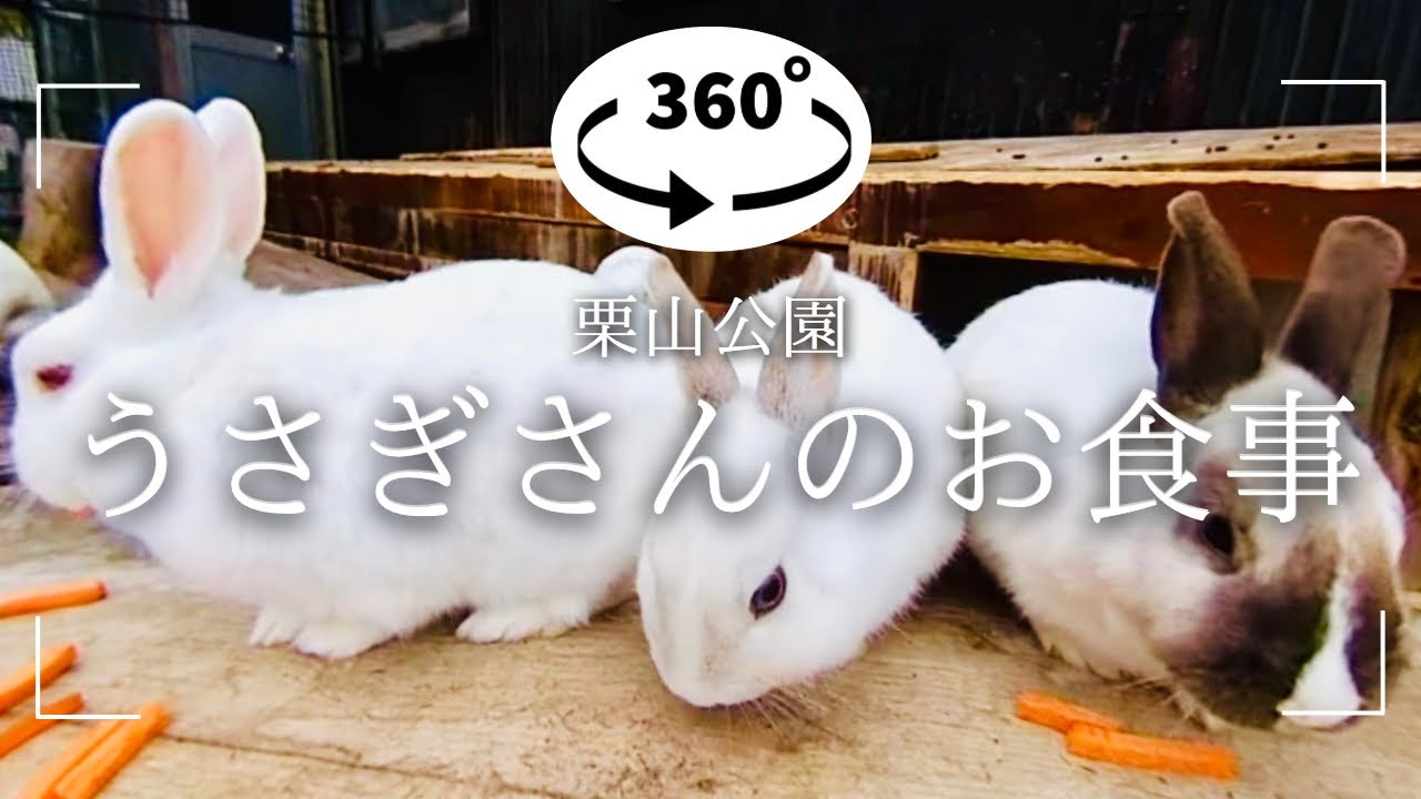 なかよし動物園 – 栗山公園オフィシャルサイト