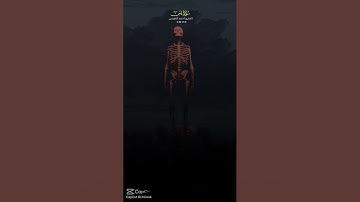 #راحة_نفسية #قرآن كريم #سورة_يس 🕋