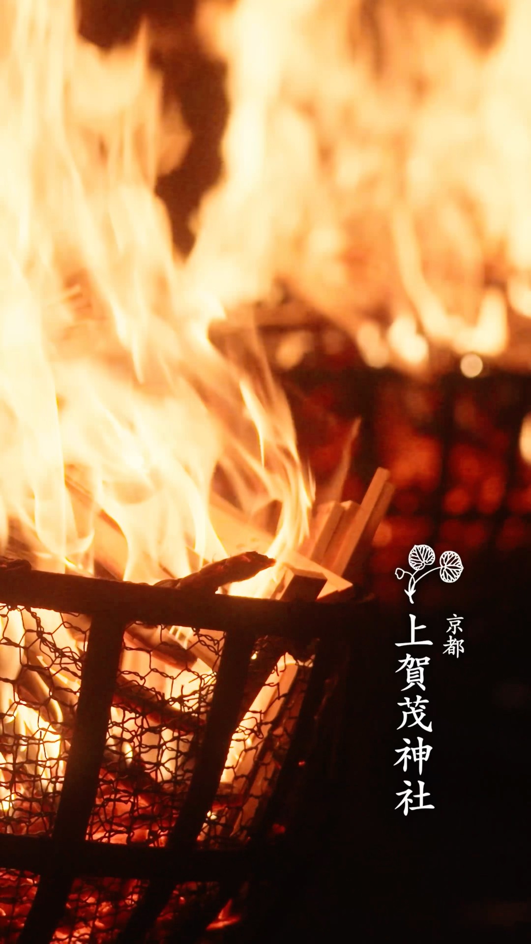 京都 上賀茂神社【世界遺産】(kamigamojinja.official) - YouTube