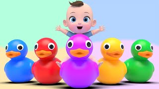 Five Little Ducks & Color Song | Nursery Rhymes & Kids Songs | Kindergarten