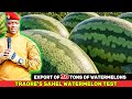 Burkina Faso’s 30-Ton Sahel Watermelon Export — Can It Survive Borders, Heat, and Foreign Standards?