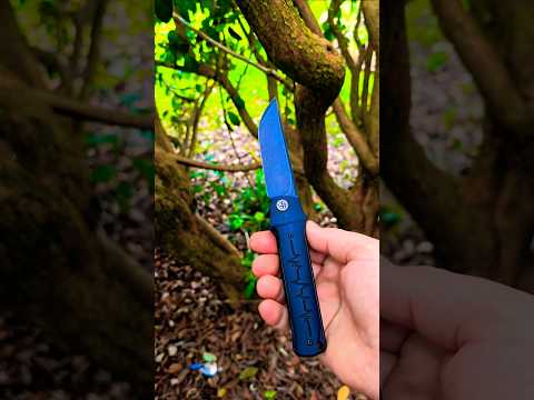 The Petrified Fish Tena is A Surprisingly Good Budget Knife!   