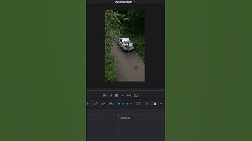 How to add Dynamic Zoom in Davinci Resolve | Davinci Resolve for Beginners | #shorts