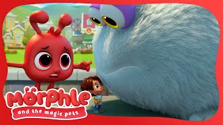 The huge Gobble frog! | Morphle and the Magic Pets | Moonbug Kids - Fun Stories and Colors