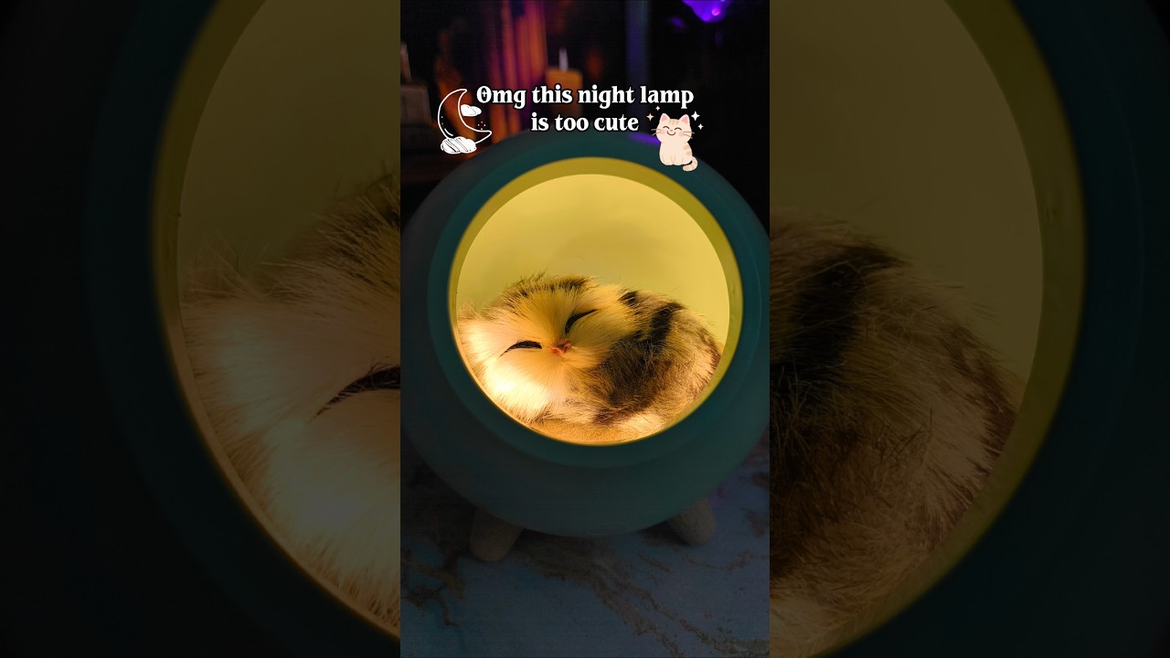 Panda Night Lamp