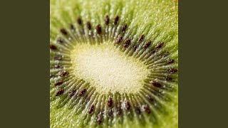 Mimpi Mencapai Cerita