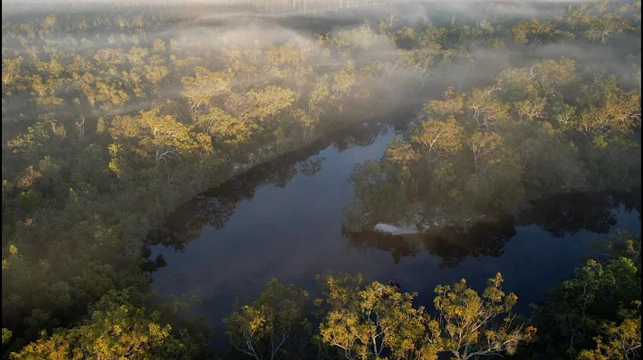 NOOSA EVERGLADES - THE RIVER OF MIRRORS   4K