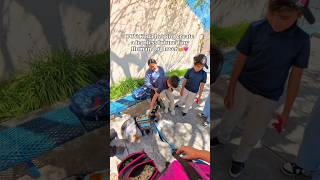 Koda turned a moment of nervousness into a core memory for that Tiny Human🥹🩷 #dog #dogs #cute