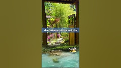 حالات واتس اب مؤثرة | اية تهز قلبك بصوت القارئ | Quran Status, 91 