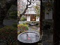 Rain &amp; Piano in Autumn Garden with Stone Basin 🍂 Peaceful Rain for Sleep &amp; Study