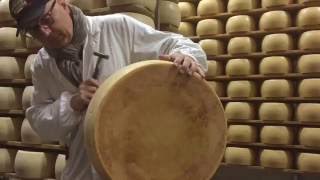 Siciliani Creativi - Come si fa il Parmigiano Reggiano Dop - Making Parmigiano Reggiano Dop