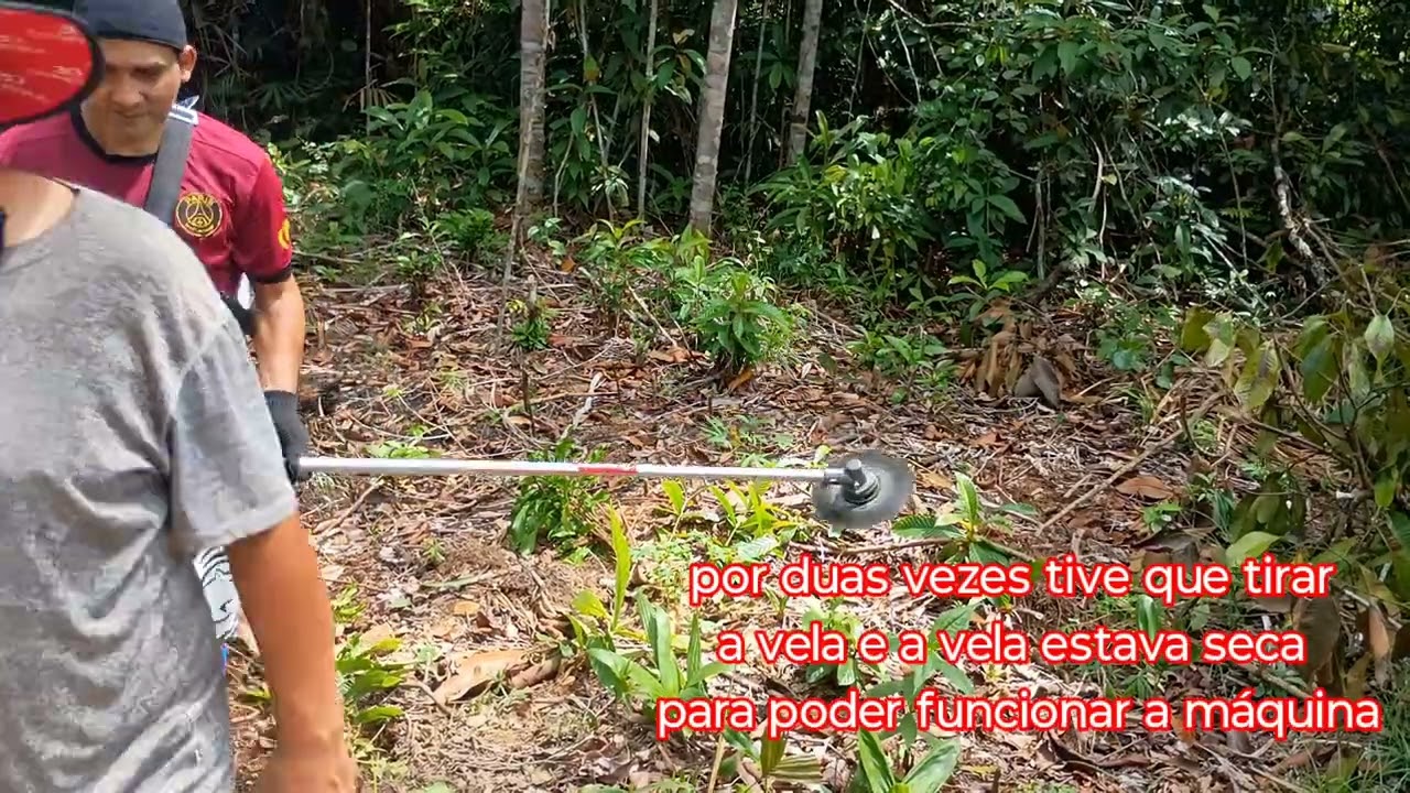 PRIMEIRA LIMPEZA DE 2026