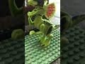 Dilophosaurus Stop Motion