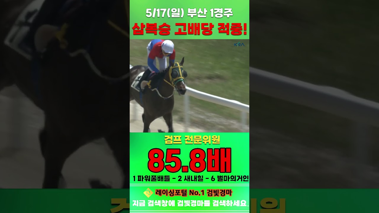 [부산 경마] 5월 17일 일요 1경주 검프 전문위원 삼복승 고배당 적중 #한국마사회 #automobile #경마 #horse #하이라이트 #korean #게임 #비트코인 #뉴스