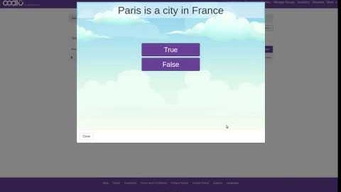 Creating True / False Questions