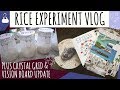 RICE CONSCIOUSNESS EXPERIMENT VLOG // DR MASARU EMOTO // PLUS CRYSTAL GRID & VISION BOARD UPDATE
