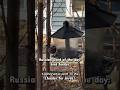 Russian word of the day: bird feeder — кормушка для птиц