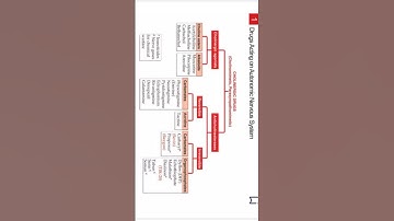DRUGS ACTING ON AUTONOMIC NERVOUS SYSTEM #pharmacotherapy #therapeutics #doctorofpharmacy